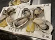 ITALIAN&OYSTER SEASON 1